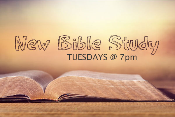 New Bible Study: Tuesdays